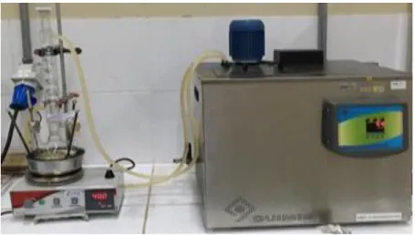 Figura 1- Aparato experimental utilizado para a transesterificação 