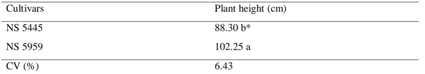TABLE 6. Average plant height for the different cultivars tested. 
