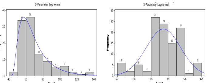 Figure 13. Distribution of length (l) and the height (h) of the stones in the Wall 2 