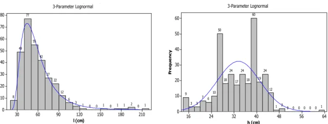 Figure 17. Distribution of length (l) and the height (h) of the stones in the Alcaçova wall 
