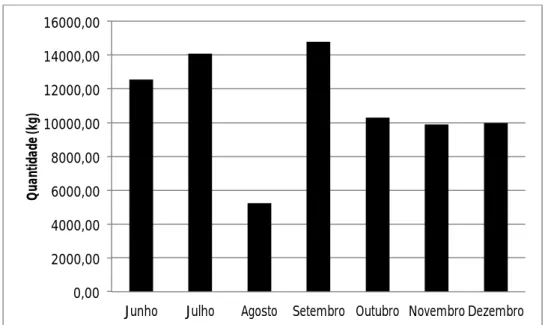 Gráfico 1 – Evolução das vendas de segmentos em 2010. 
