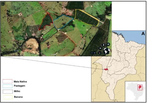 Figura 1. A. Localização das áreas estudadas com destaque ao Estado do Maranhão e o município de Lajeado Novo