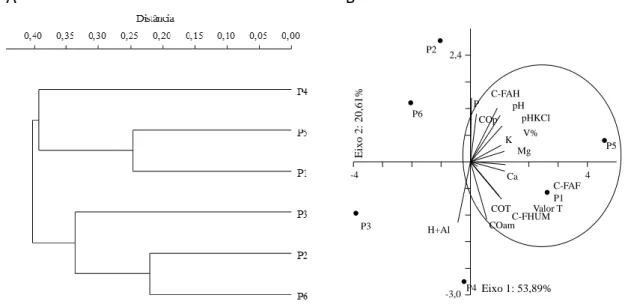 Figura 3. Análise de agrupamento hierárquico (A) e de componentes principais (ACP) (B) de TPAs na camada de 0,00- 0,00-0,05 m, em função dos atributos químicos, carbono orgânico total e frações húmicas e físicas da MOS