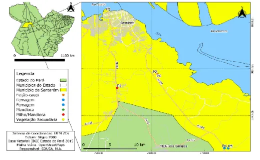 Figura 1. Localização do município e pontos de coleta de solos de terra preta arqueológica