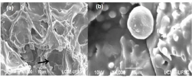 Figura 1 - Microscopia eletrônica de varredura do pó do fruto de araçá liofilizado 