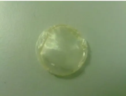 Figure 2.4 - Fibroin sample with a pattern similar to the fish scales 