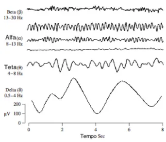 Figura   1.4:   Gráfico   ilustrativo   dos   ritmos   neuronais   presentes   num   EEG,   adaptada   de   [1]
