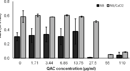 Figure 3.10| Staphylococcus epidermidis ATCC 14990 growth in the absence (control) and in the presence  of  several  concentrations  of  QAC  diluted  in  nutrient  broth  (NB)  and  NB  supplemented  with  0.1  M  CaCl 2 
