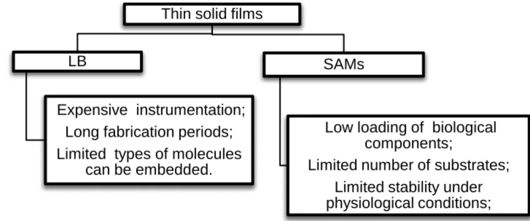 Figure I-5:  Schematic representation of drawbacks associated with LB and SAMs [adapted from  [104, 107]]