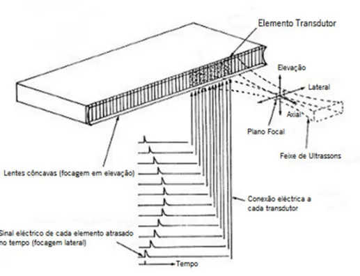 Figura 2.2 – Sonda linear, vários componentes e o princípio de focagem. Imagem adaptada de: [53] 