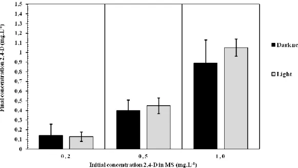 Figure 3 - Concentration of 2,4-D in MS medium without plant culture after 30 days in the presence and absence of light