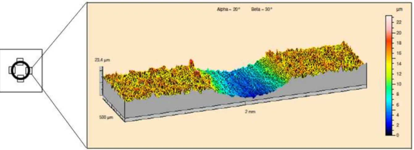 Figure 15 - Evaluation of the wear track with 2D microtopography. 