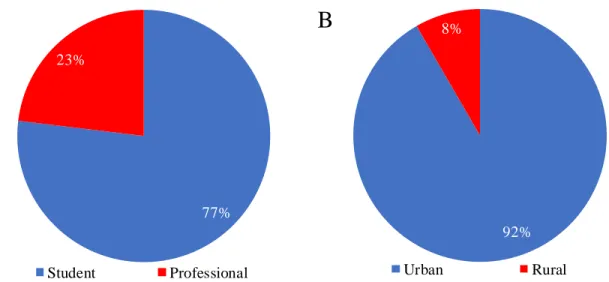 Figure 7. Percentage of professional performance of participants (A); participants' habitation (B)