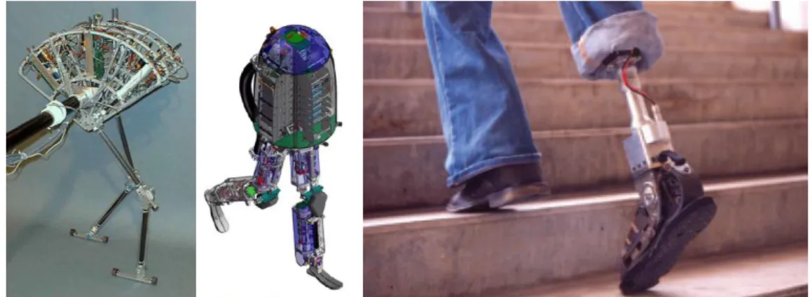 Figure 2.10 – Examples of SEA application. Spring flamingo [32], M2V2 bipedal [30] and ankle-foot  prosthesis [31] respectively