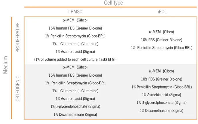 Table 2.1 – Proliferative and osteogenic medium composition. 