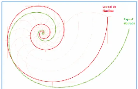 Figura 9: Concha do Nautilus                           Figura 10: Relação entre a espiral do Nautilus  Fonte: PECK (2007)                                                    marinho e a espiral áurea 