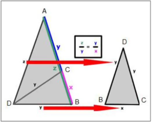 Figura 4: Razão áurea no triângulo  PIROPO (2009) 