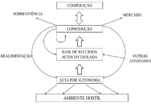 Figura 1 Esquema da condição camponesa (PLOEG, 2008, p. 40). 