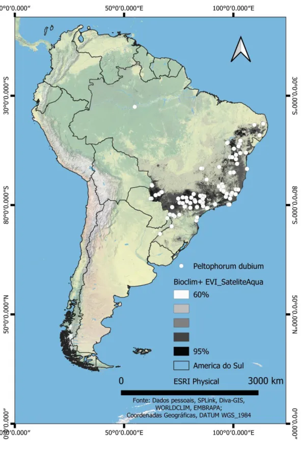 Figura 2. Ocorrência de Peltophorum dubium (Spreng.) Taub., áreas de adequabilidade ambiental sugeridas com  dados do Worldclim e satélite Aqua