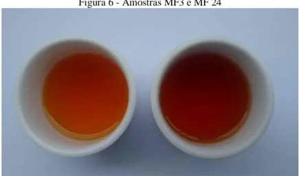 Figura 6 - Amostras MF3 e MF 24 