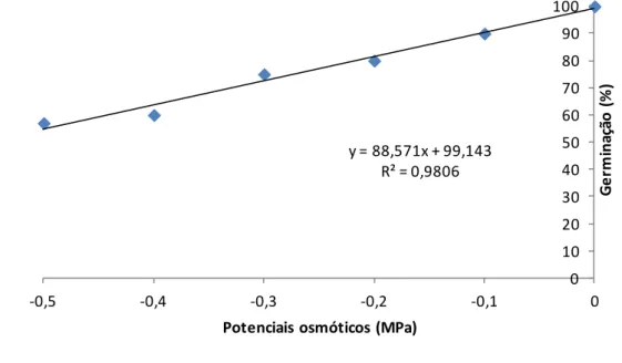 Figura 1. Germinação de sementes de milho crioulo submetidas a estresse hídrico induzido com polietilenoglicol (PEG  6000) (CECA/UFAL, 2020)