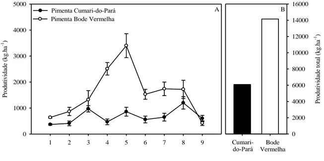Figura 1. Produtividade (Média ± EP) de plantas de pimenta Cumari-do-Pará e Bode Vermelha em função de nove colheitas  (Figura 1A) e com valores totais (Figura 1B)