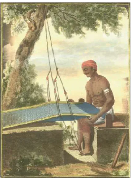 Figura 1: Tecelão indiano  