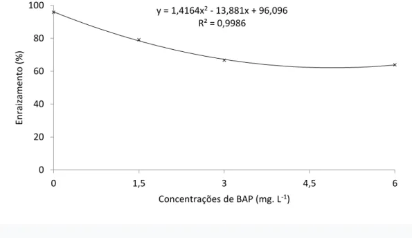 Figura 2. Enraizamento (%) em bromélias in vitro em função de concentrações de BAP. 