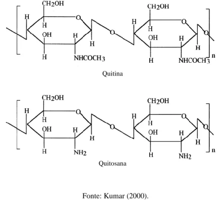 Figura 2. Estrutura química da quitina e quitosana 
