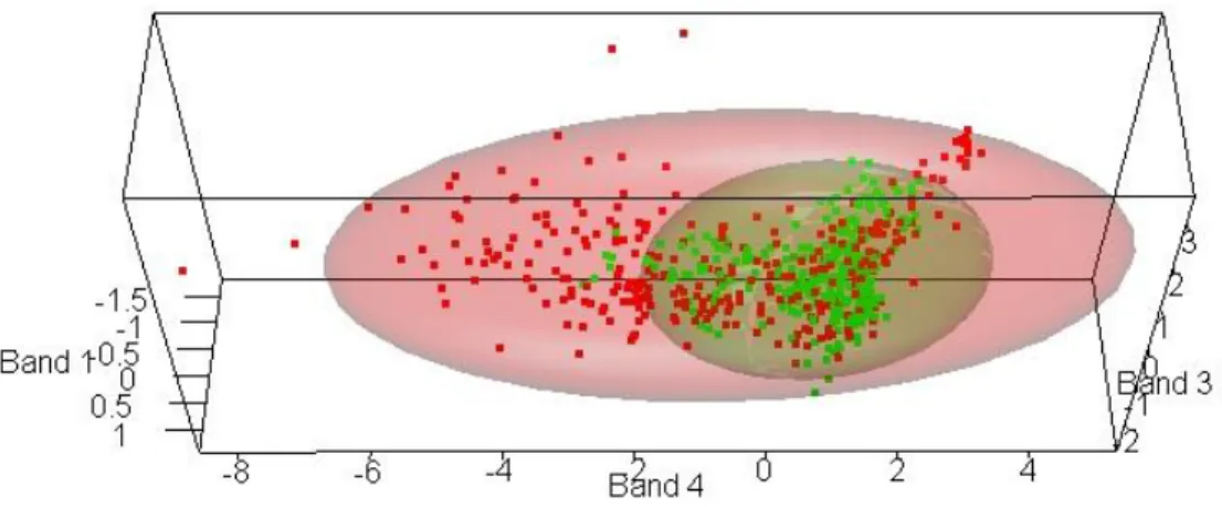Figure 3. Scatter plot with confidence ellipse (95%) of the regression discriminant analysis partial least squares  (PLS-DA) to separated healthy from damaged areas by Thaumastocoris peregrinus  (Hemiptera: 