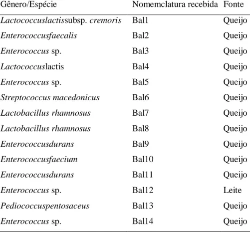Tabela 1. Bactérias ácido láticas isoladas e identificadas a partir de amostras de queijos e leite