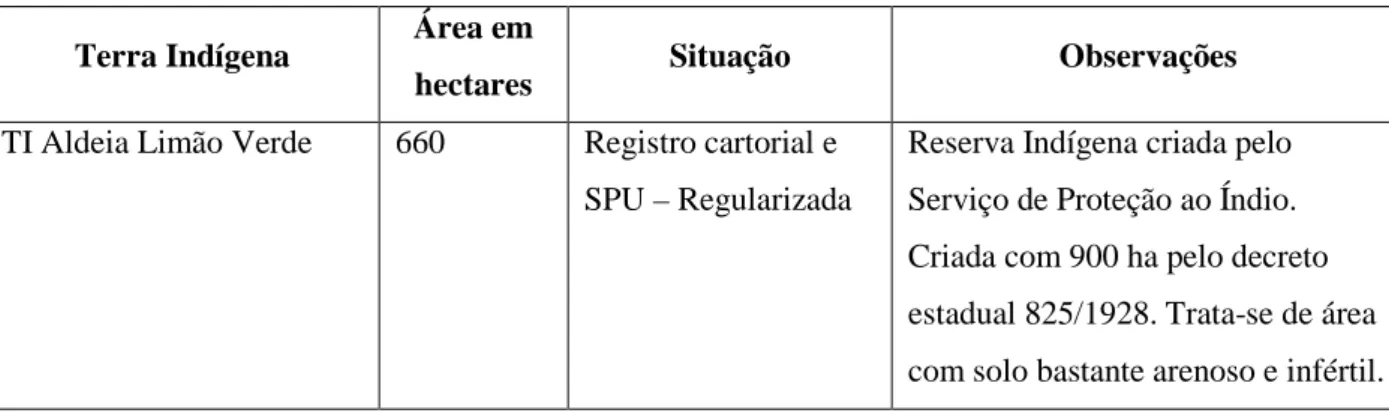 TABELA 3 - Situação fundiárias das terras indígenas guarani e kaiowa em Mato Grosso do Sul 