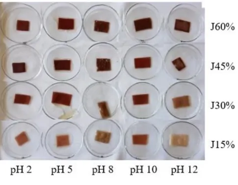 Figura 1. Variação da cor dos biofilmes contendo concentrações de extrato da casca de jaboticaba submetida a  diferentes valores de pH