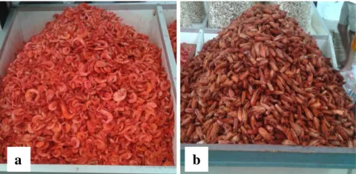 Figura  3  –  Formas  de  camarões  salgados  e  secos  comercializados  na  feira  de  São  Joaquim:  (a)  Inteiro  e  (b)  Cefalotórax
