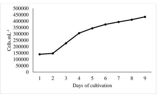 Figure 4 Growth curve of A. platensis grown in Venkataraman in outdoor system 