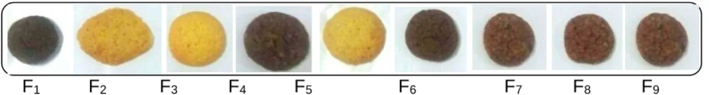 Figura 2 Biscoitos tipo cookies elaborados com diferentes proporções de farinha de Talo de beterraba (FTB), flocos de  aveia (FA) e farinha de trigo (FT), sendo: F 1 - 50:50FTB/FT; F 2 - 50:50FA/FT; F 3 - 100FT; F 4 - 25:25:50FTB/FA/FT; F 5 - 