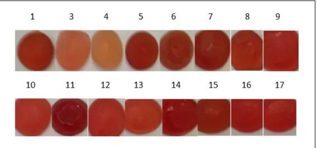Figure 2. Pectin candies with camu-camu pulp prepared with the seventeen established formulations
