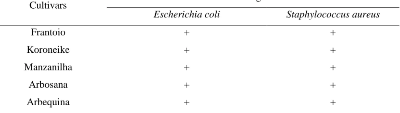 Table 4: Minimum bactericidal concentration of extracts of olive leaves from the cultivars Frantoio, Koroneike,  Manzanilha, Arbosana and Arbequina,  against Escherichia coli and Staphylococcus aureus