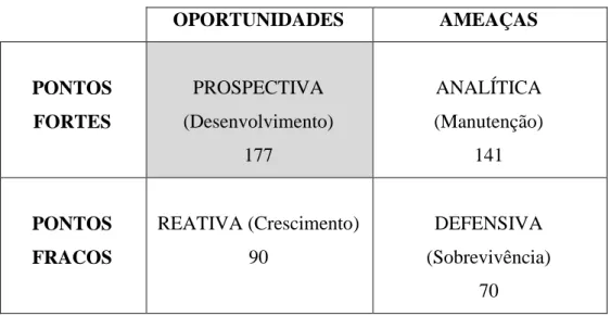 Figura 4: Análise do ambiente externo e suas competências internas. 