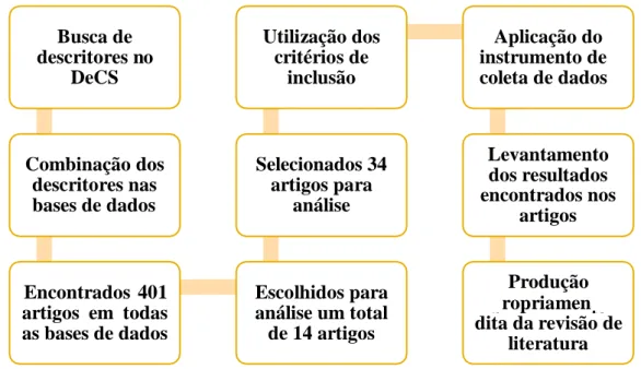 Figura 1. Fluxograma para a produção da revisão de literatura. Campina Grande, PB. 2019