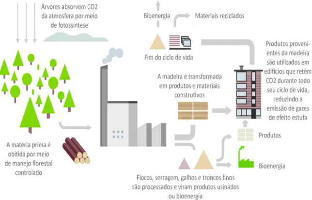 Figura  02:  Armazenamento  de  carbono  durante a  vida  útil de  um  edifício.  Fonte:  Metsä  Wood  -  Presente  em 