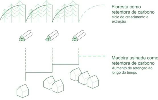 Figura 03: Escala progressiva de Figura 03: Escala progressiva de armazenamento de carbono em construções  com  madeira  ao  longo  do  tempo