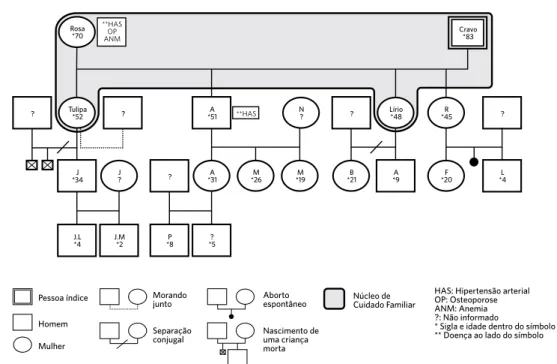 Figura 1.  Representação gráfica do genograma da família de Cravo
