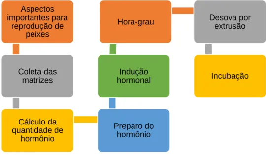 Figura 2: Esquema de estruturação do folder. 