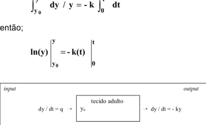 Figura 1 - Esquema de entrada e saída dos isótopos de carbono nos tecidos.