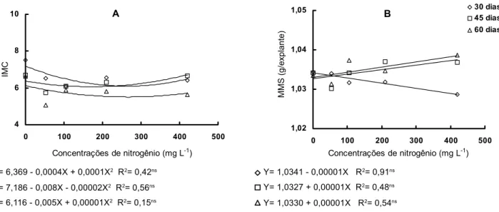 Figura 2 -  Efeito dos tratamentos com nitrogênio na calogênese em A) índice de multiplicação celular (IMC) da massa de matéria fresca e B) massa de matéria seca (MMS) de calos (g/explante) em explante entrenós de matrizes de Dianthus caryophyllus L., aval