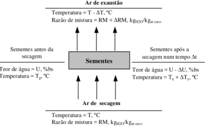 Figura 1 - Variações decorrentes do processo de secagem em camada delgada durante um intervalo de tempo ∆t.
