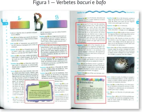 Figura 1 — Verbetes bacuri e bafo