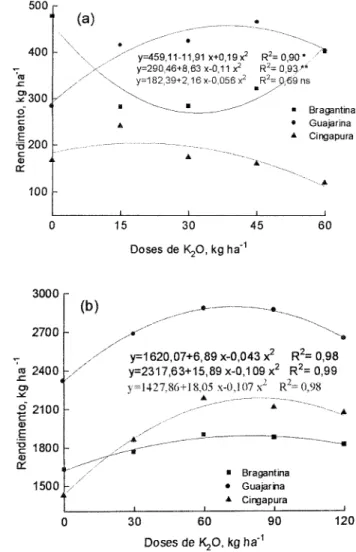 Figura 3 - Efeito de doses de fósforo sôbre o rendimento de grãos de cultivares de pimenta-do-reino aos 17 mêses (a) e aos 29 mêses (b) de cultivo.