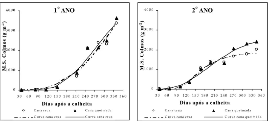 Figura 5 - Matéria seca de colmos (g m -2 ) no 1 o  e 2 o  ano de amostragem.